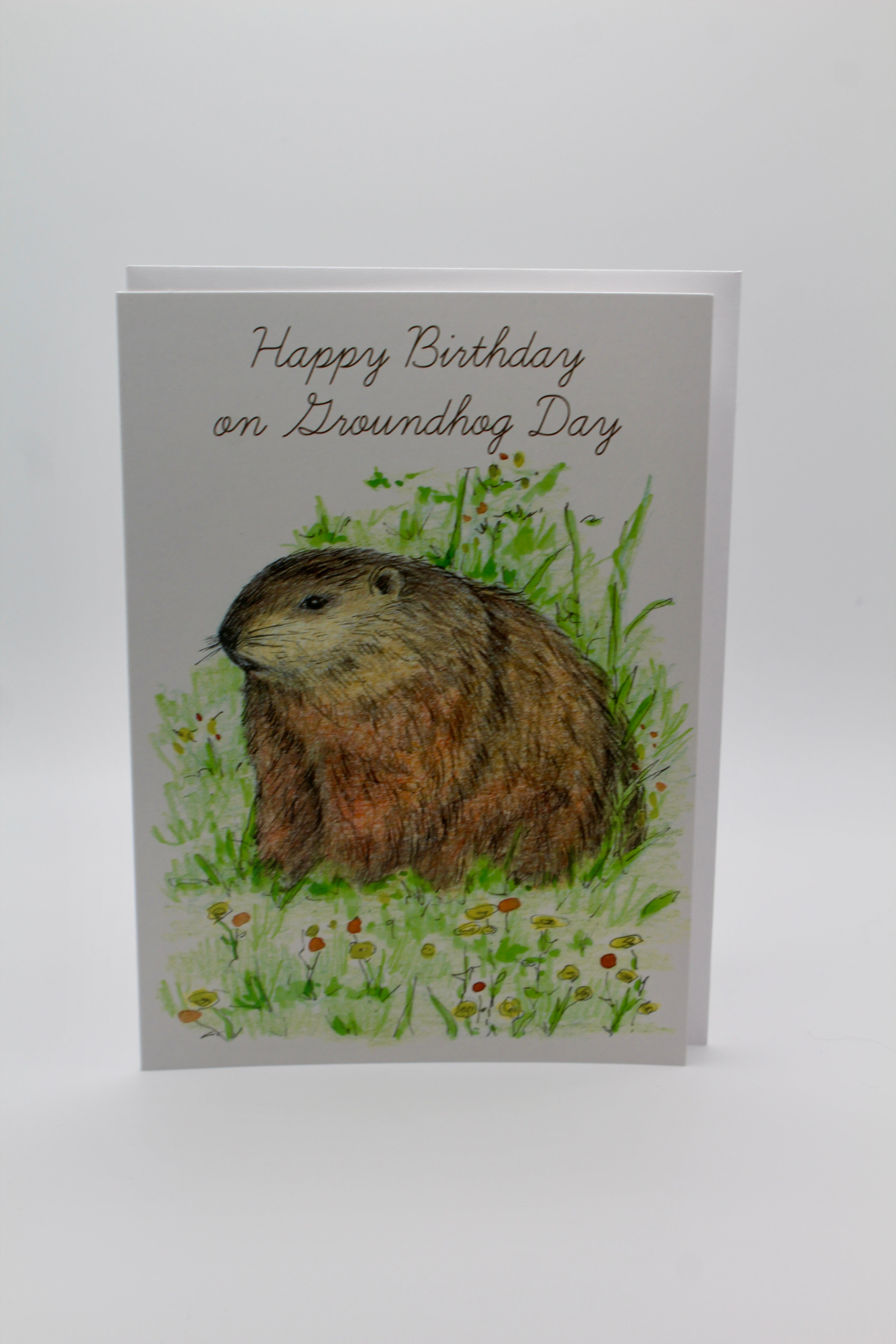 Happy Birthday on Groundhog Day Card-Groundhog Stuff