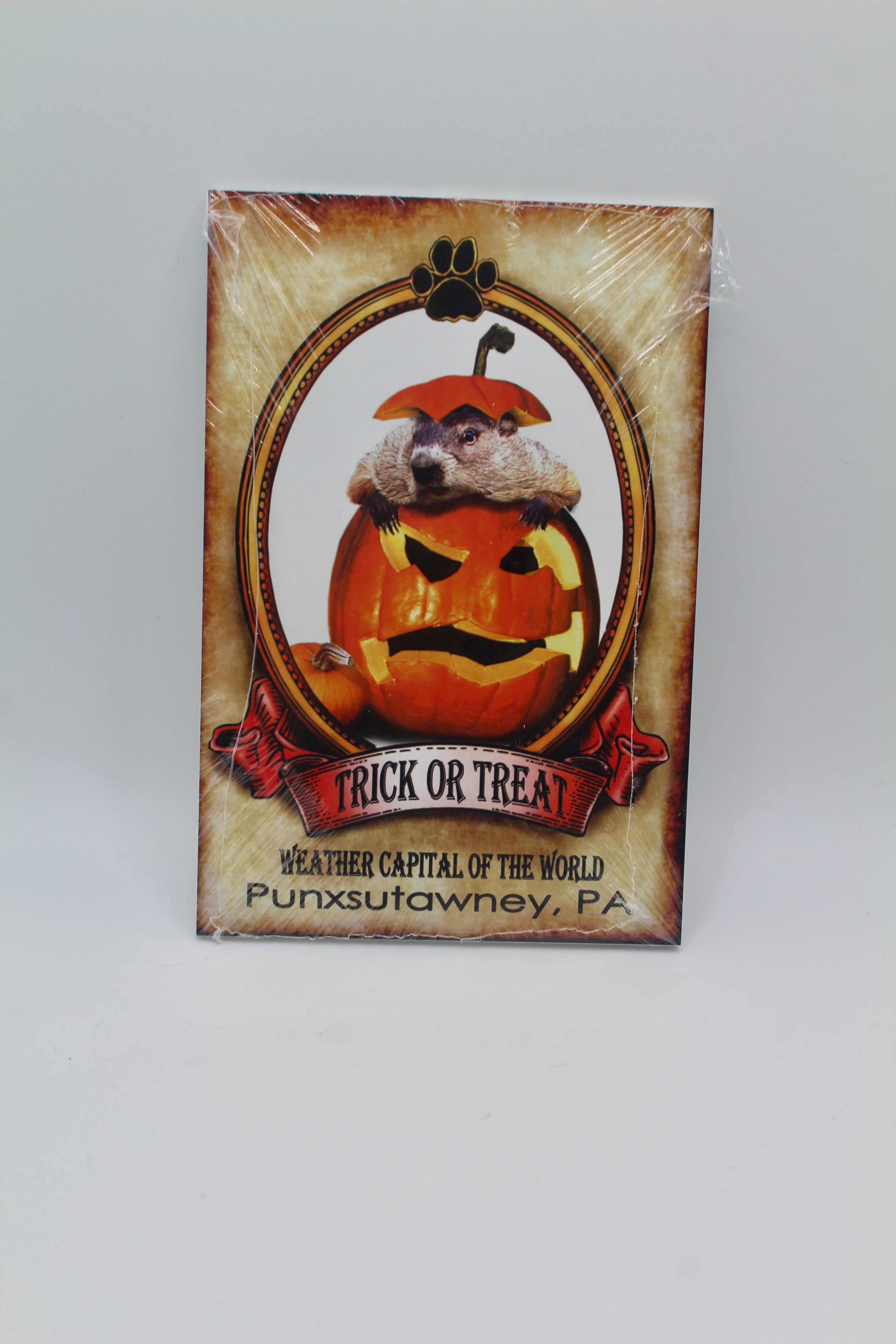 Holiday Phil Postcard Pack – 14 Cards (7 Holidays)-Groundhog Stuff