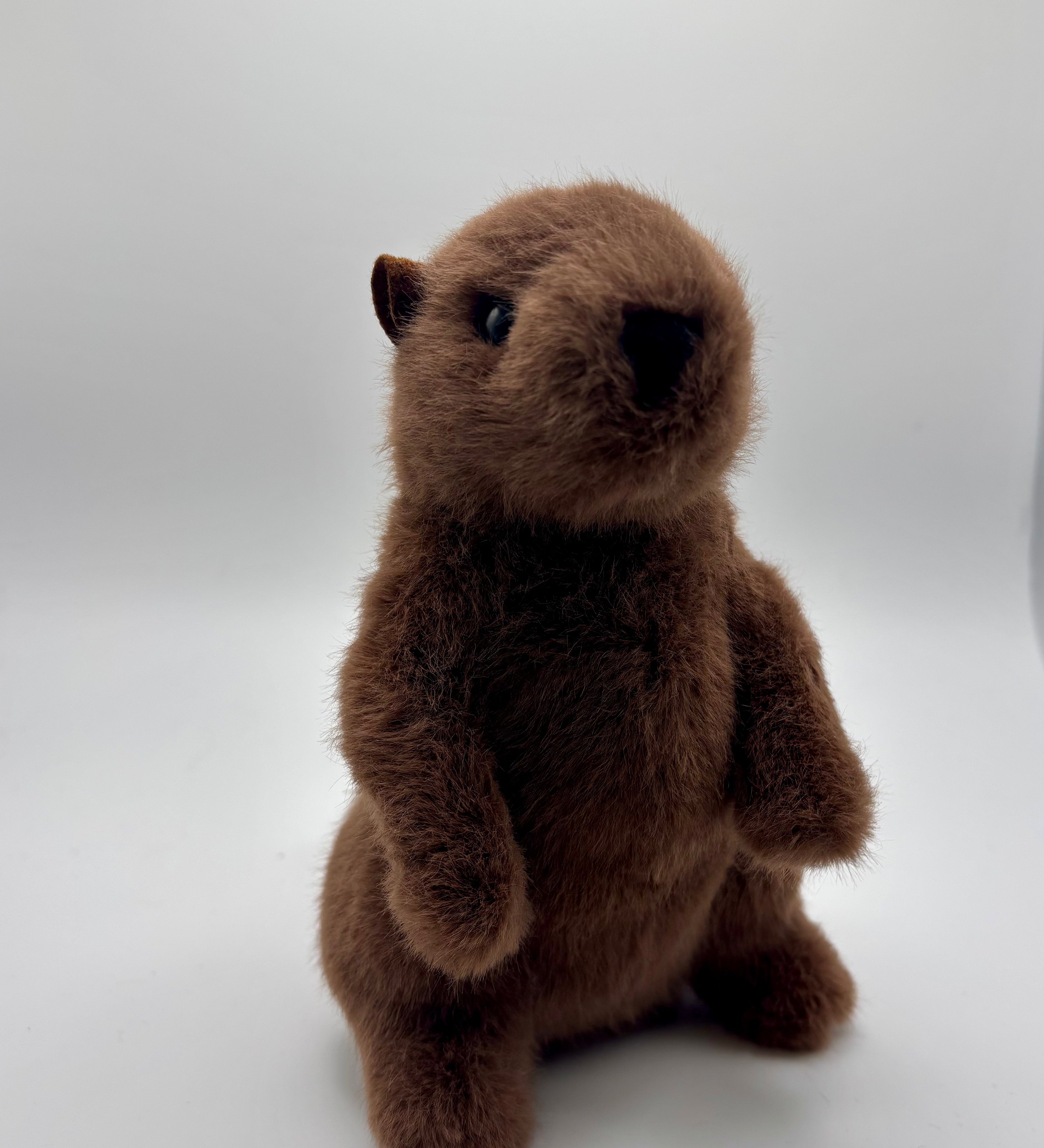 Mr. G Groundhog Plush – 7 Inch-Groundhog Stuff
