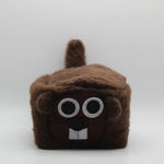 Boone Hat-Groundhog Stuff