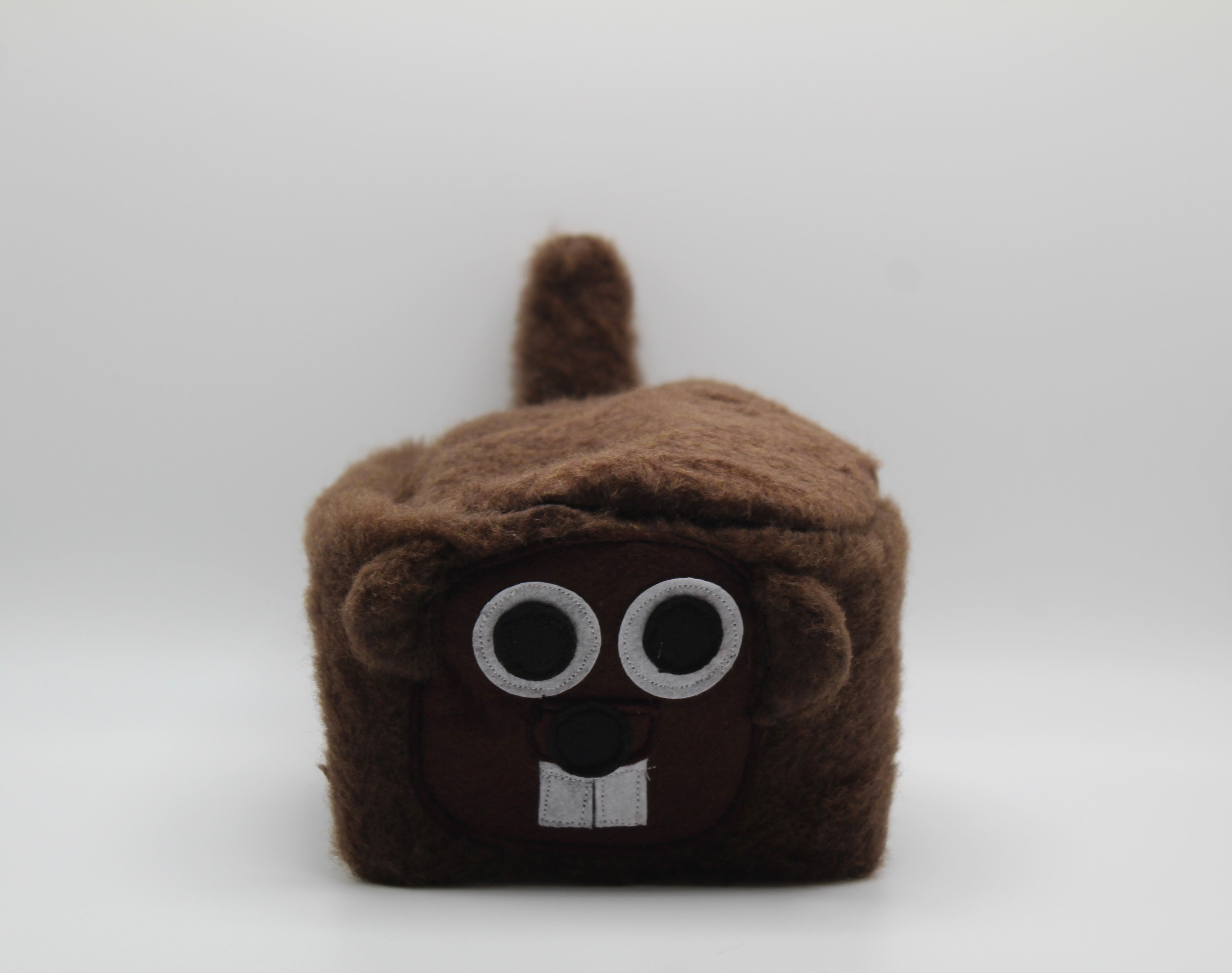 Boone Hat-Groundhog Stuff