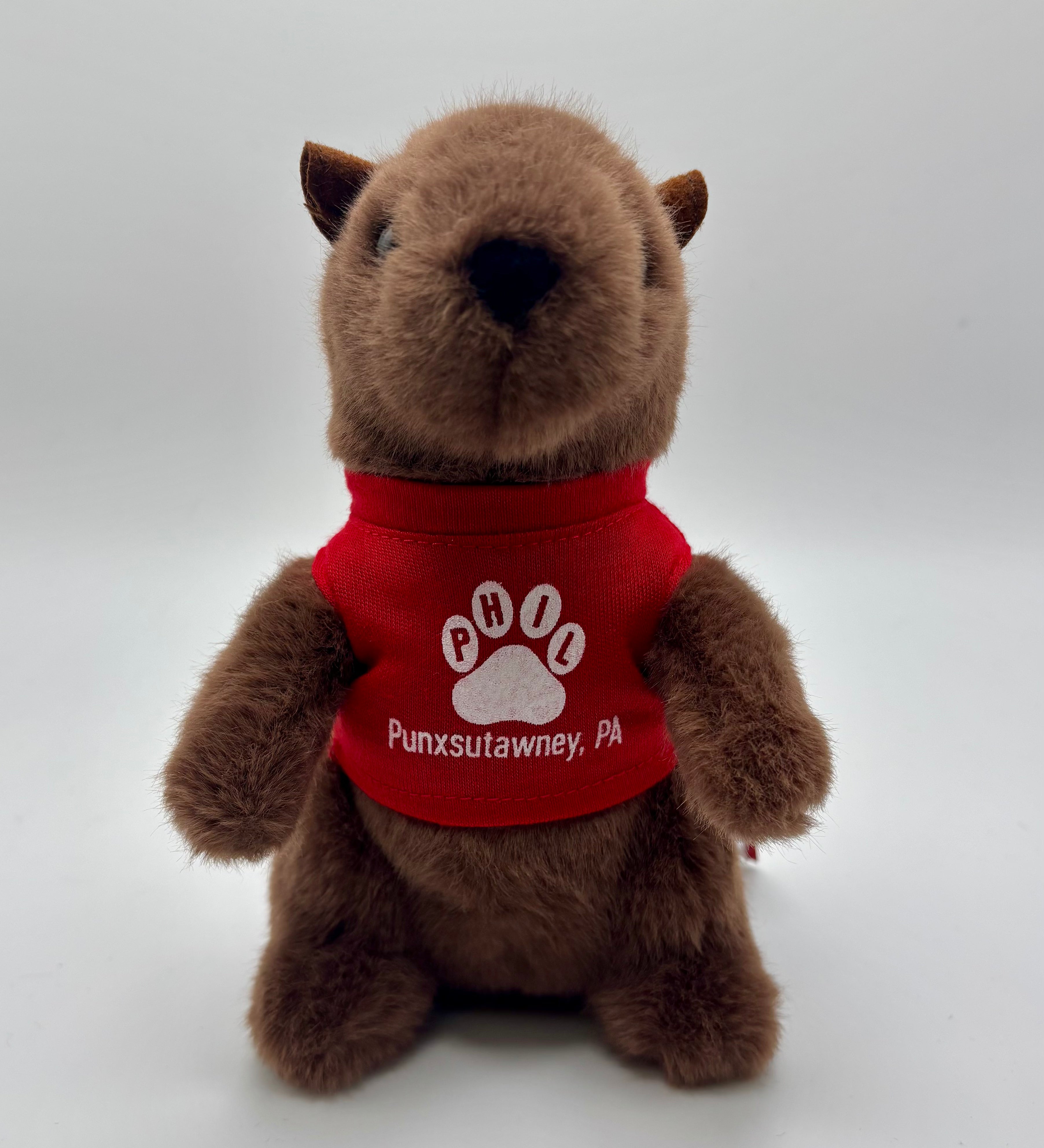 Mr. G Groundhog Plush with T-Shirt – 7 Inch-Groundhog Stuff