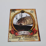 Phil Merry Christmas Postcard-Groundhog Stuff