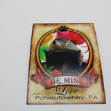 Phil Valentine's Day Postcard-Groundhog Stuff