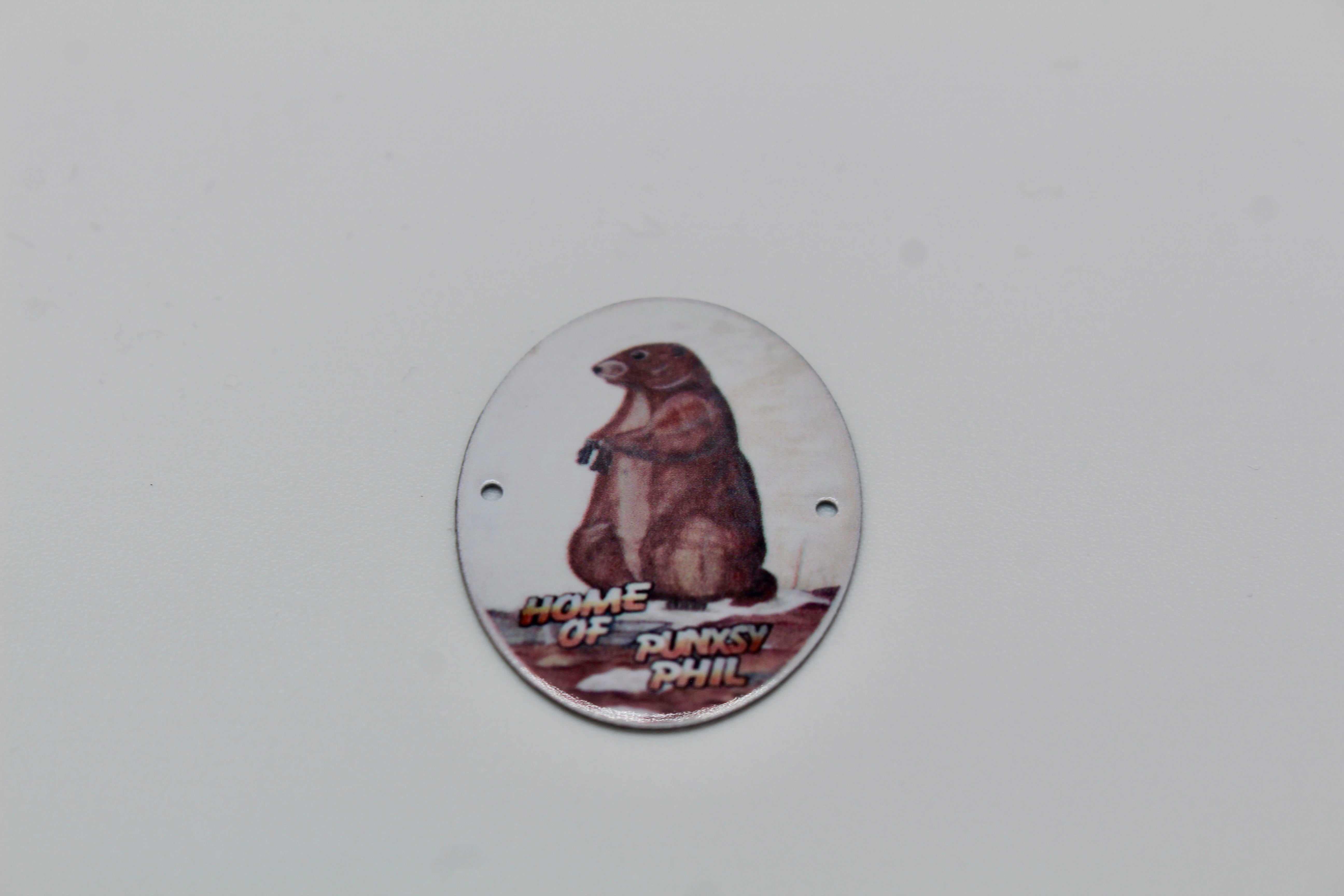 Phil Walking Stick Medallion-Groundhog Stuff