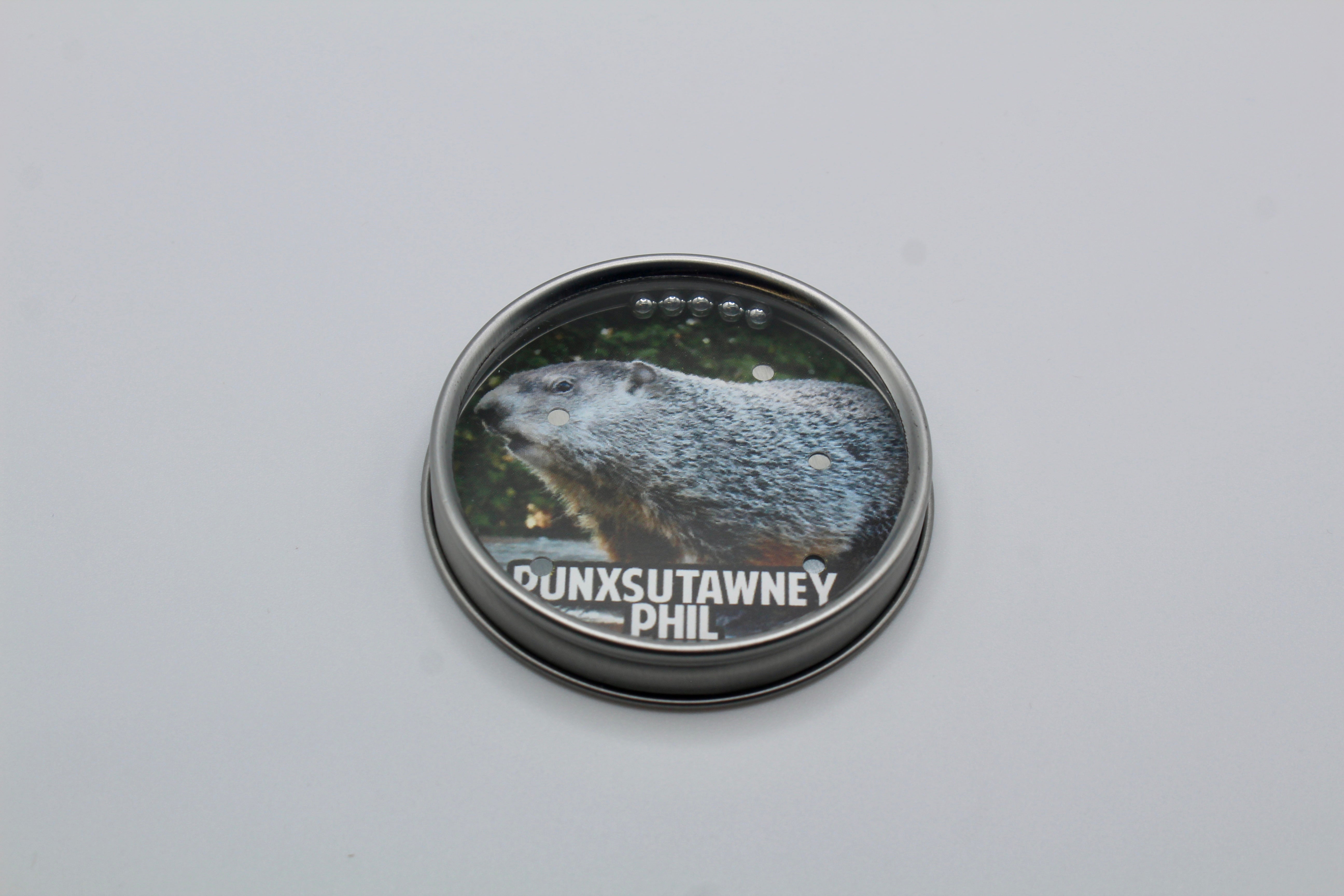 Punxsutawney Phil BB Pocket Puzzle-Groundhog Stuff
