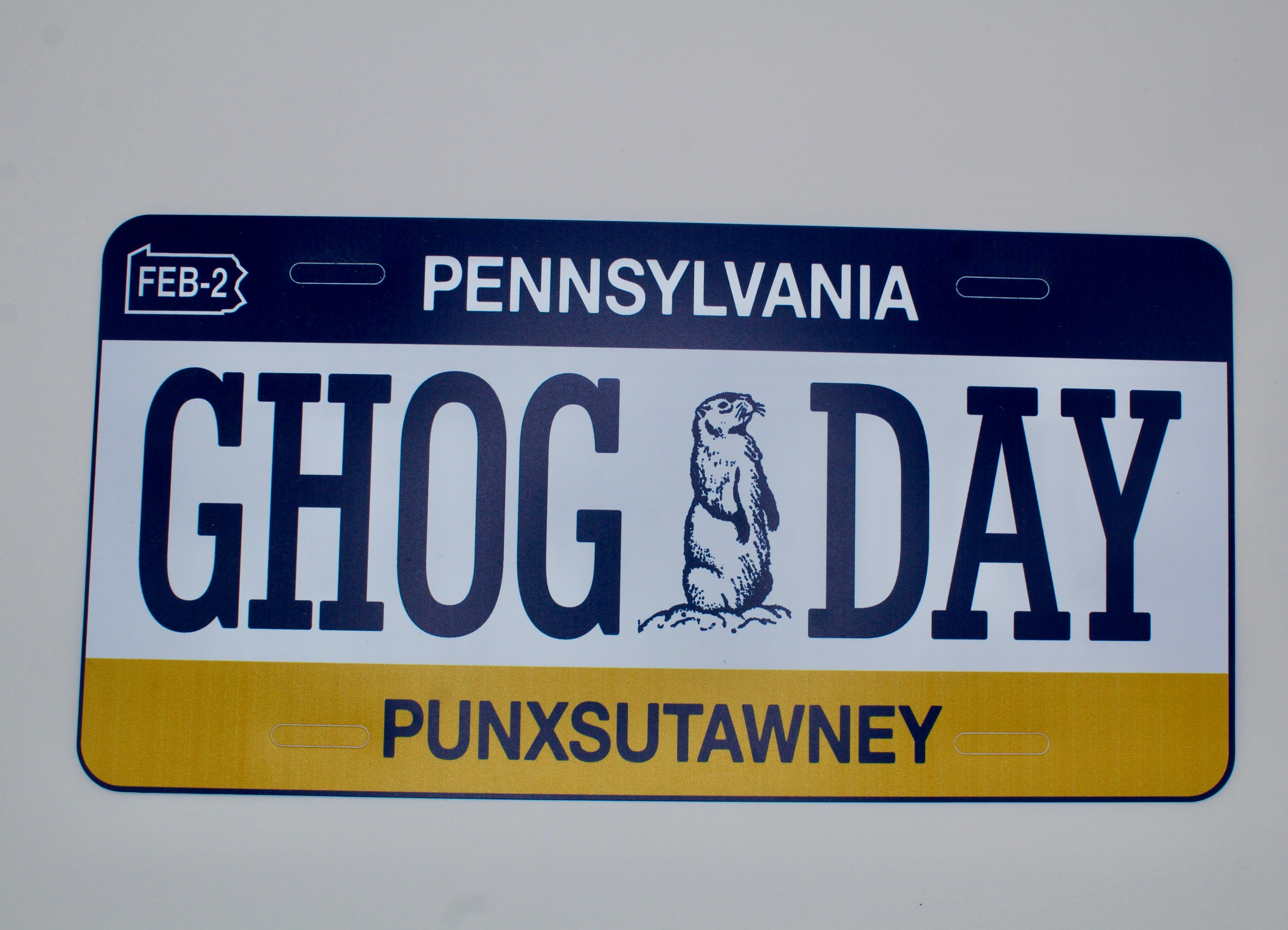 License Plate - Groundhog Day Fan-Groundhog Stuff