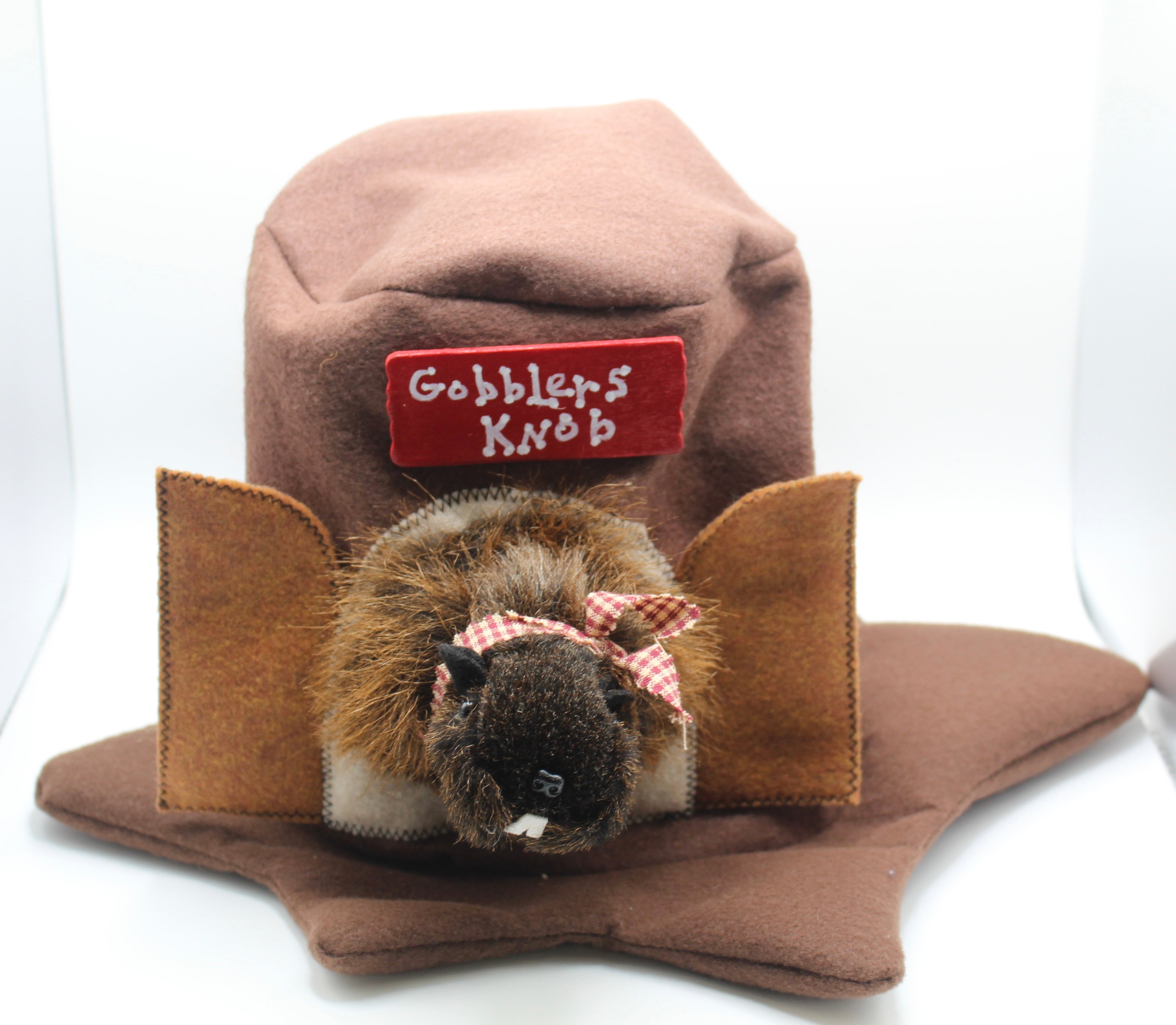Phil Stump Hat-Groundhog Stuff