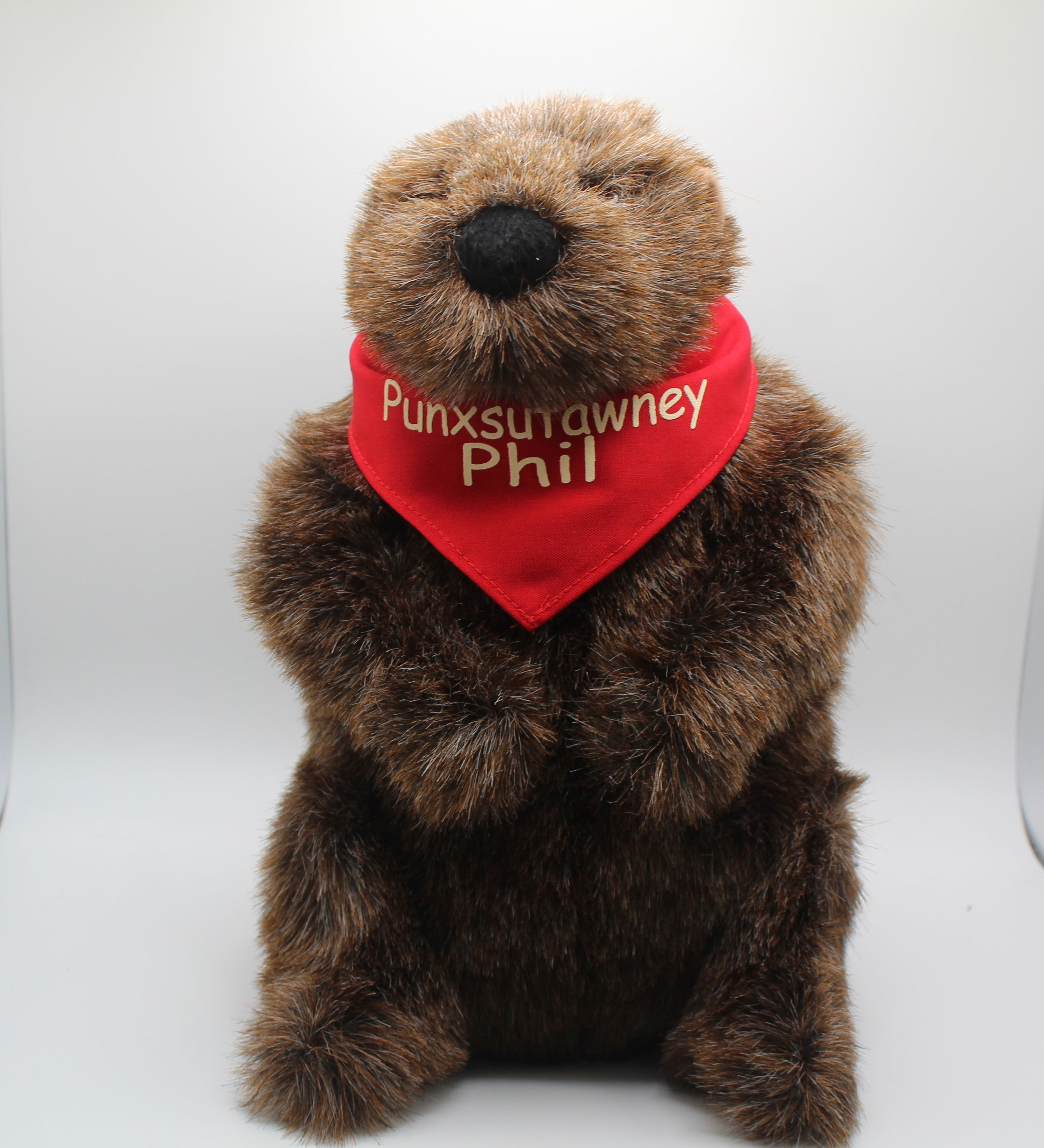 Plush Phil Groundhog with Red Bandana – 11 Inch-Groundhog Stuff