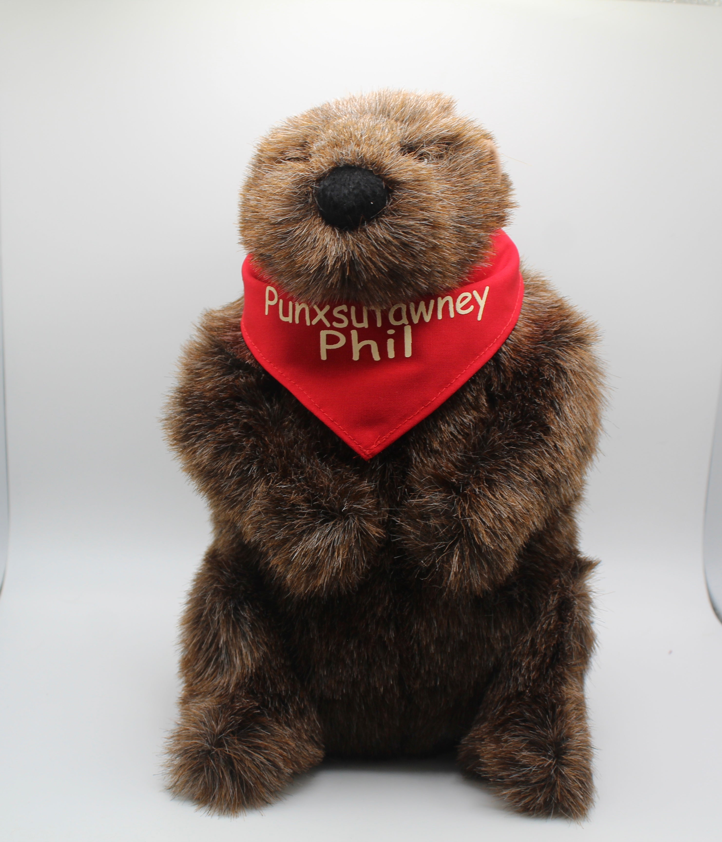 Plush Phil Groundhog with Red Bandana – 11 Inch-Groundhog Stuff