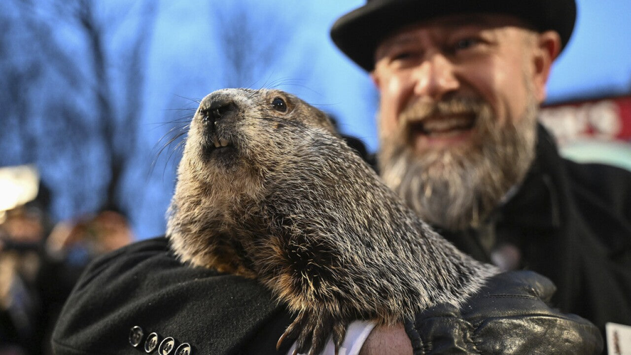 Punxsutawney Phil's Official Souvenir Shop Gift Card-Groundhog Stuff