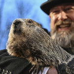 Punxsutawney Phil's Official Souvenir Shop Gift Card-Groundhog Stuff