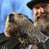 Punxsutawney Phil's Official Souvenir Shop Gift Card-Groundhog Stuff