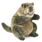 Groundhog Puppet by Folkmanis – 11 Inch Plush-Groundhog Stuff