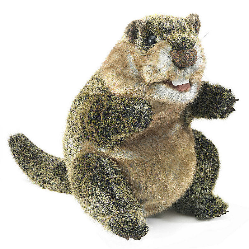 Groundhog Puppet by Folkmanis – 11 Inch Plush-Groundhog Stuff